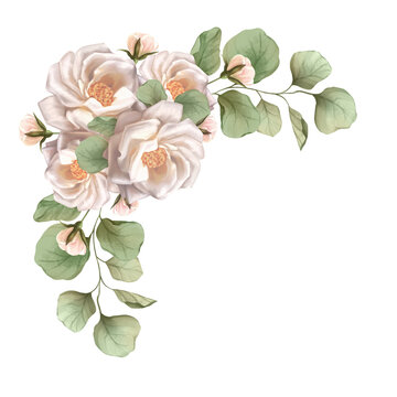 Hand drawn delicate rose corner with white flowers and eucalyptus leaves botanical floral arrangement