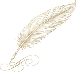 Golden vintage feather quill pen writing elegant classic calligraphic flourish lines vector design element on isolated white background © MSTJOSNA