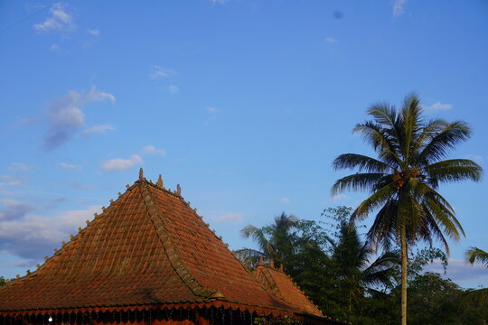 A scenic outdoor view featuring the clay tile roof of a traditional Javanese joglo house and a tall coconut palm tree against a bright blue sky with soft white clouds.