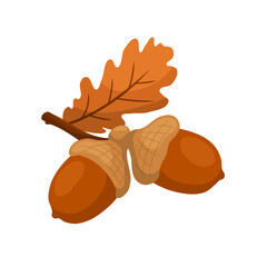 acorn and oak leaves clipart illustration © Nyoman