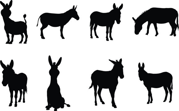 Donkey Silhouette Vector Collection. Black Animal Outline Set. Farm Mule Graphic Pack. Farmyard Shape Clipart for Farm Illustrations & Design