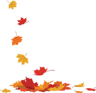 Falling autumn maple leaves with a pile on the ground isolated on a white background vector illustration.