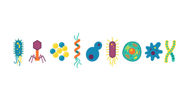 Bacteria vector set displays various microscopic organisms and pathogens in a horizontal layout.