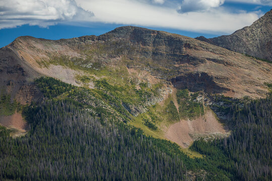 Mountain cliffside closeup with alpine forest
