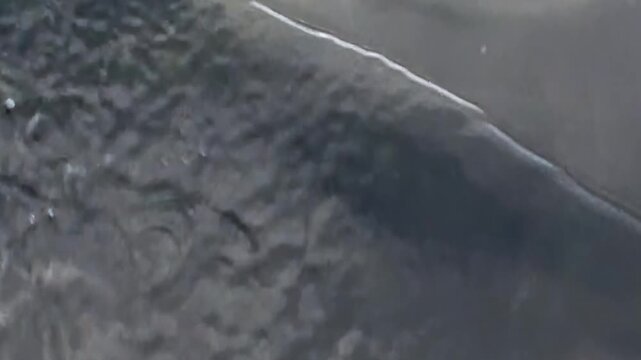 A whale moves through the cold Arctic Ocean near a passing ship, its dark body appearing at the surface among open polar waters and distant ice. The source identifies the location near Norway.