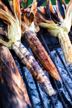 Purple heirloom corn on the grill