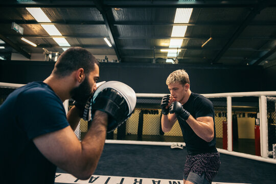 MMA training in a gym
