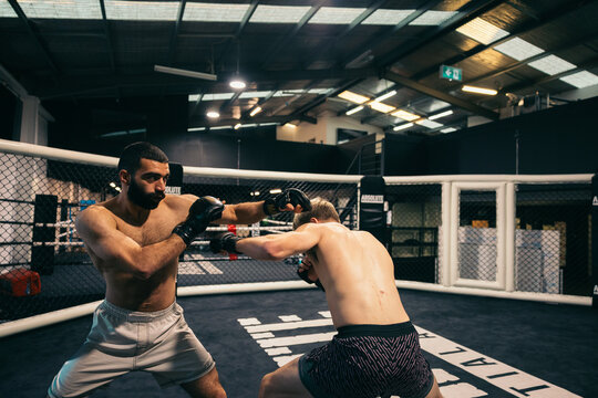 Two athletes sparring in a mixed martial arts cage