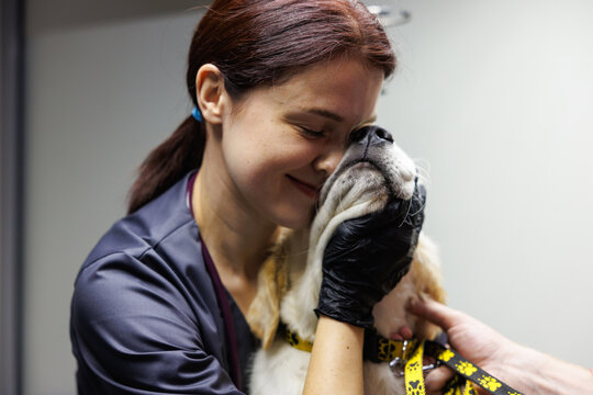 Smiling female doctor embracing cute dog in arms in vet clinic room