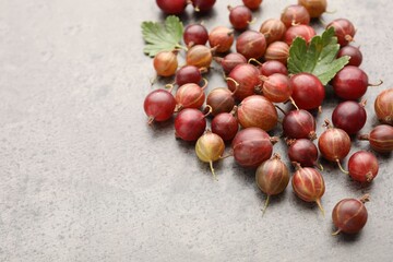 Fresh red gooseberries and green leaves on grey table, closeup. Space for text © New Africa