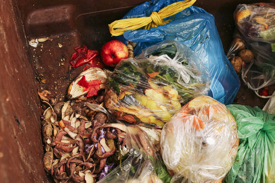 Discarded vegetables fruit scraps and plastic bags fill a large waste container. Food waste background related to household garbage spoiled produce organic refuse disposal and recycling.