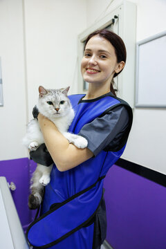 Portrait of pleased female veterinary doctor keeping and caressing cat