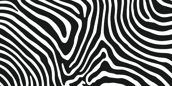 Abstract monochrome thick zebra stripes wavy liquid pattern vector illustration for trendy modern background design.
