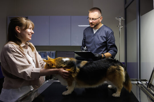 Owner caressing dog while showing her pet to male veterinary doctor