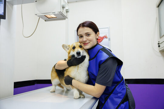 Portrait of young pleased female doctor embracing adorable dog
