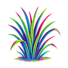 Obraz premium PNG Vibrant colorful abstract plant illustration.
