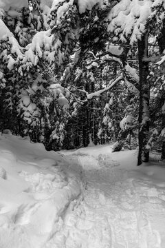 Vermont 83