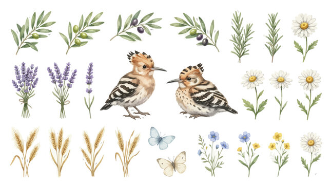 Watercolor nature collection with birds flowers and herbs