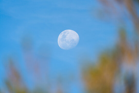 Daytime Moon in Blue Sky