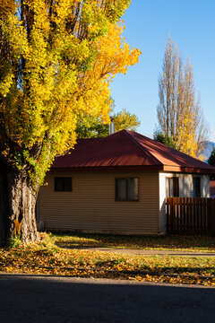 Autumn Trees Beside Red-Roofed Cottage