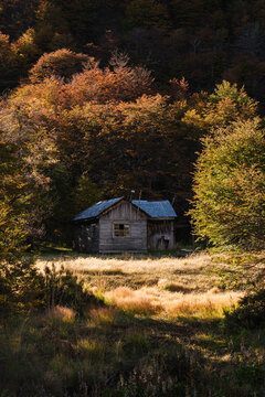 Rustic Cabin in Golden Autumn Meadow