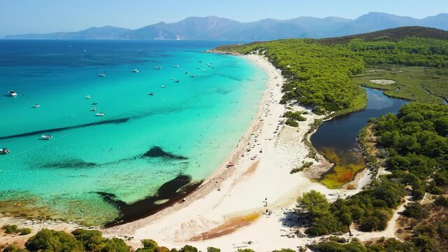 Plage de Saleccia Agriates Corsica drone flyover river pine trees white sand beach. Scenic aerial video tropical beach turquoise sea coastline, green pine forest landscape France travel 4K.