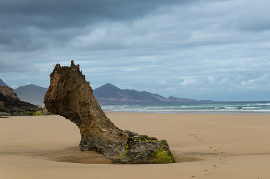 playa de arena dorada con roca natural con forma de anima en fuerteventura