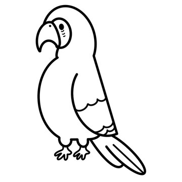 parrot