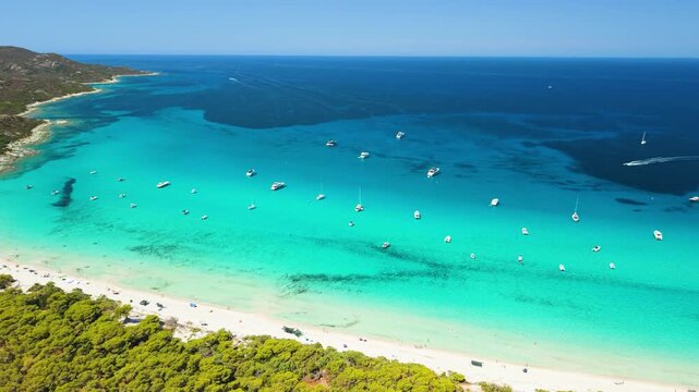 Saleccia beach drone rotation shot, pine forest to sea horizon reveal, Agriates desert exotic beach panorama, left to right drone panning Corsica, Caribbean of Europe turquoise water dense pine trees