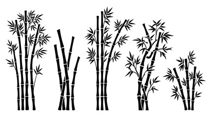 Obraz premium Black and white line art flowers and plants illustration