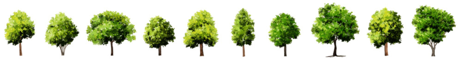Obraz premium Vector watercolor green tree or forest side view isolated on white background for landscape and architecture drawing,elements for environment or and garden,Sakura tree for section
