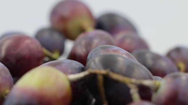 Rotate  of grapes on a vine.