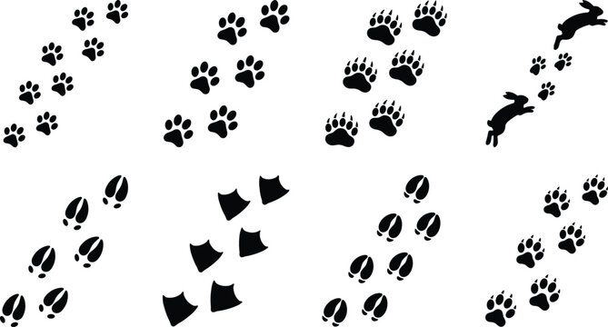 Animal footprint tracks silhouette vector set isolated on plain white background for design projects