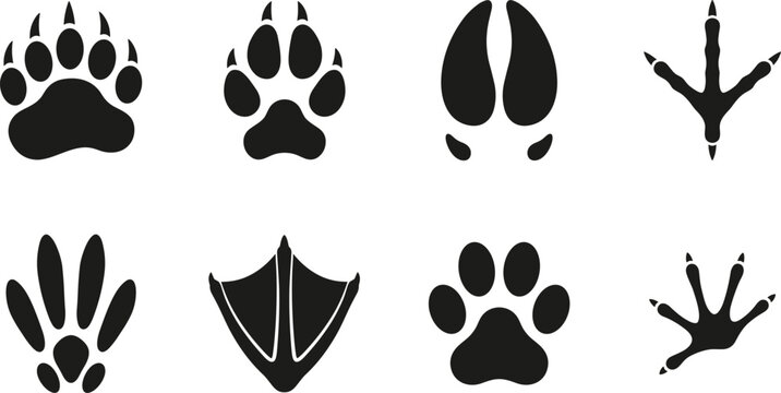 Animal paw print vector icon set featuring bear wolf deer bird duck footprints