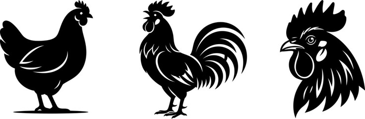 Set of black silhouette farm animal chicken and rooster icons with hen icon poultry farm domestic bird farm life poultry farming vector icon graphic element © Bobita