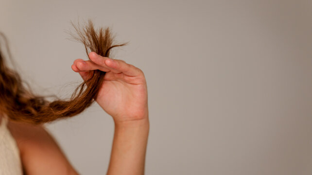 Close-up of a person's hand holding damaged, split ends of brown hair