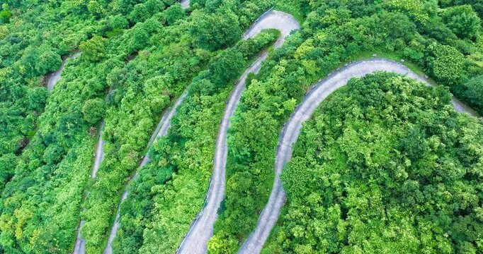 Aerial view shows a winding paved road curving through a dense green forest with lush tree canopies under bright natural light.