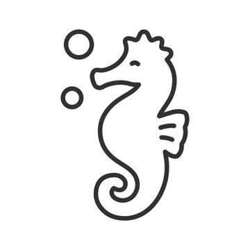 Seahorse, marine life, underwater icon in line design. Seahorse, marine, ocean, sea, animal, underwater, aquatic on white background vector. Seahorse editable stroke icon