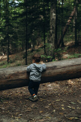 A little boy is walking in the forest. He is playing in the forest park © Dvornichenko Olga