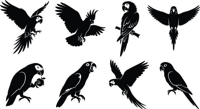 Parrot silhouette vector set featuring flying macaw cockatoo parakeet and perched exotic tropical birds