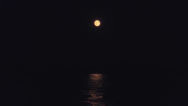 Moon Rise