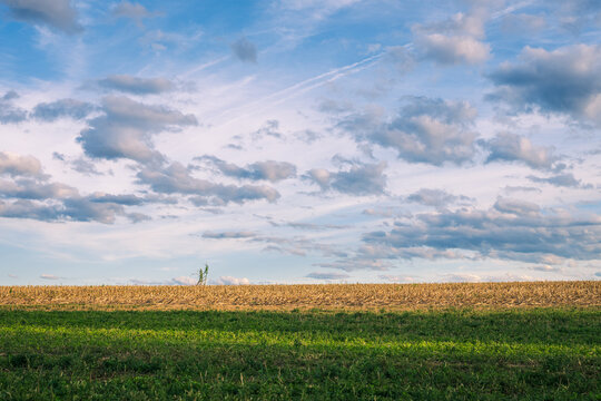 Agricultural field and sky view during early Autumn.
