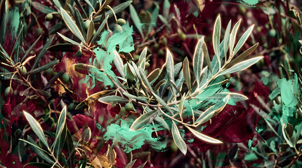 Obraz premium Abstract olive branch digital art | Mediterranean olive tree painting with brushstrokes | Artistic nature background with green and maroon accents | Modern botanical wall art design