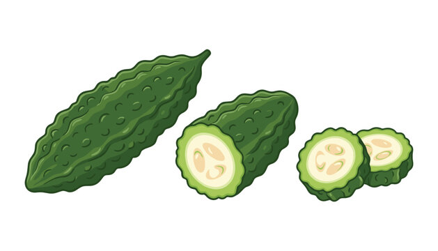 Fresh Bitter Melon Illustration Collection with Whole and Sliced Green Gourds for Healthy Food, Vegetable, Organic Produce, Cooking, and Botanical Designs