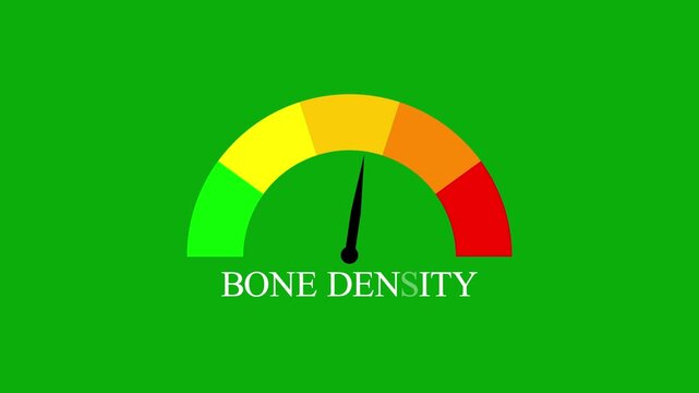 Bone Density Gauge Meter Speedometer Animation Health Level Indicator Loop Isolated on Green Screen Chroma Key Motion Graphics Concept Video Footage for Medical Osteoporosis Analysis.