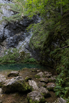 amazing green scenery in Apuseni mountains, Romania