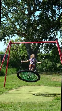 Child playing on a nest swing beneath a leafy tree