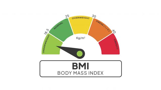 BMI Level Gauge Animation from Normal to Underweight Indicator on Body Mass Index and Health Assessment Background Motion Graphics