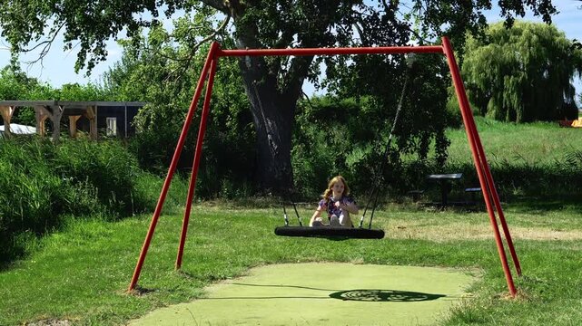 Child swinging on a nest swing in a sunny green park