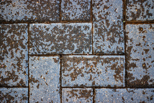 Wet grey paving stones background. Close-up of damp interlocking pavement tiles surface